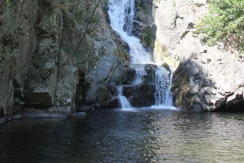 invironment_serre_calabresi-1